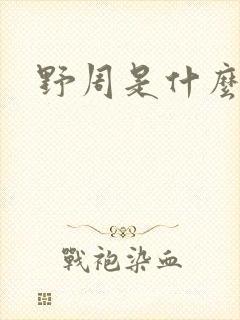 野周是什么意思