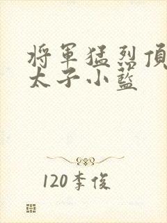 将军猛烈顶弄h太子小蓝