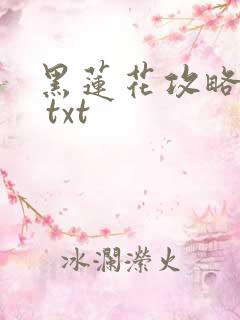 黑莲花攻略手册 txt
