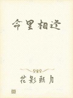 命里相逢