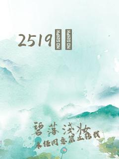 2519С˵