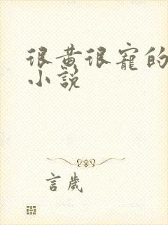 很黄很宠的总裁小说