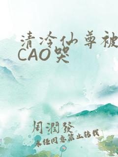 清冷仙尊被强制CAO哭