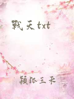 战天txt
