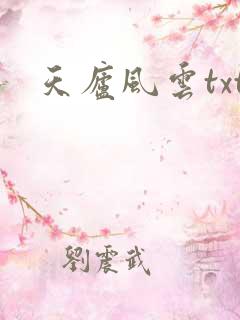 天庐风云txt