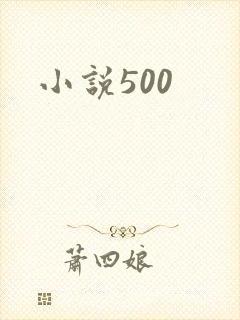 小说500