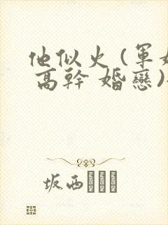 他似火 (军婚 高干 婚恋)全文在线阅读