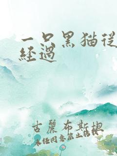 一只黑猫从眼前经过