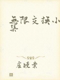 无限交换小说全集