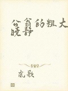 公翁的粗大放进晓静