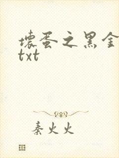 坏蛋之黑金帝国txt