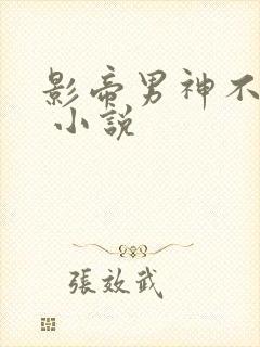 影帝男神不节制 小说