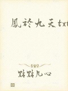 凤于九天txt