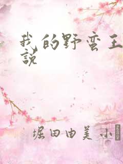 我的野蛮王妃小说
