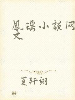凤瑶小说网高辣文
