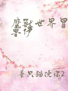 魔兽世界冒牌德鲁伊