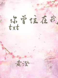 你曾住在我心上txt
