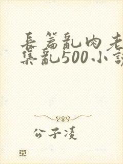 长篇乱肉老师合集乱500小说