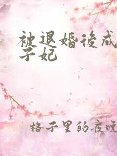 被退婚后成了太子妃