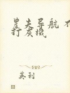 农夫导航 不准打灰机