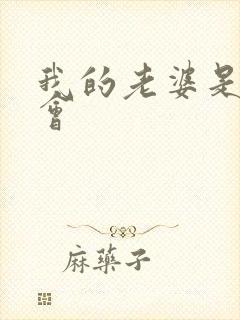 我的老婆是黑社会