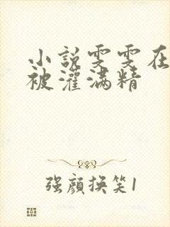 小说雯雯在工地被灌满精