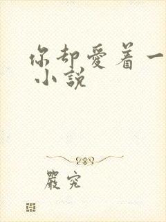 你却爱着一个他 小说