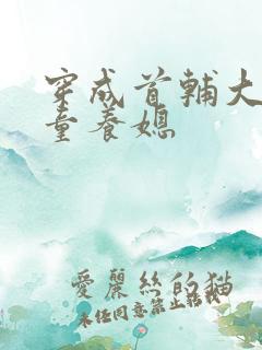 穿成首辅大人的童养媳