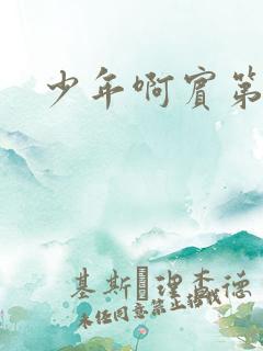 少年啊宾第二部