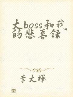 大boss和我的悲喜录