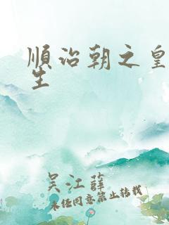 顺治朝之皇后重生