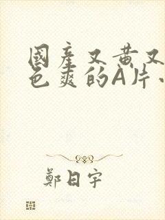 国产又黄又大又色爽的A片小说