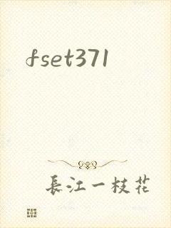 fset371