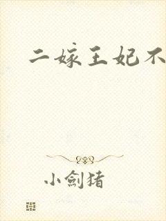 二嫁王妃不好惹