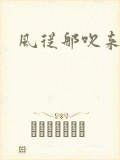 风从那吹来小说
