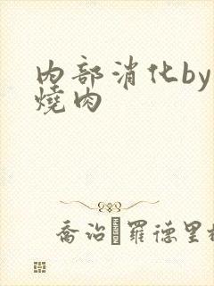 内部消化by红烧肉