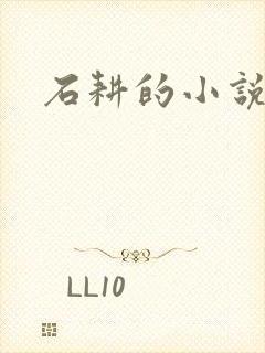 石耕的小说