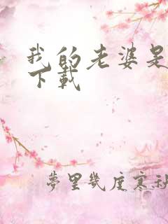 我的老婆是卧底下载