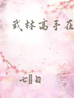 武林高手在官场