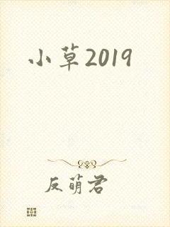 小草2019