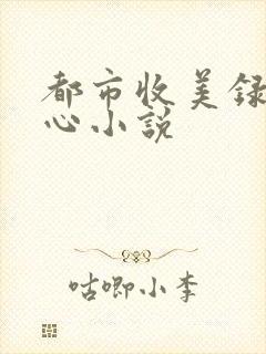 都市收美录宁素心小说