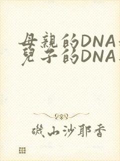 母亲的DNA和儿子的DNA是一样的吗