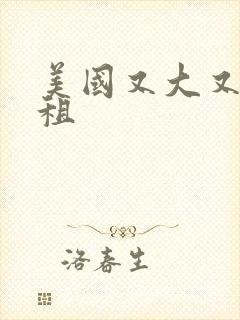 美国又大又长又租