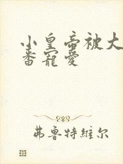 小皇帝被大臣轮番宠爱