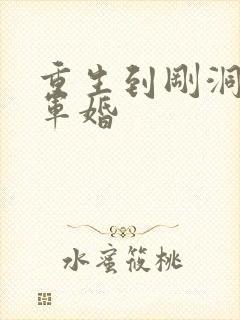 重生到刚洞房的军婚