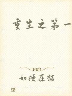 重生之第一名媛