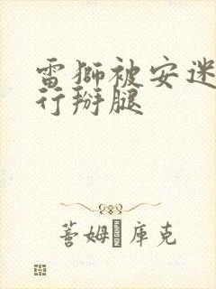 雷狮被安迷修强行掰腿