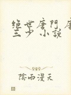 绝世唐门 唐家三少 小说