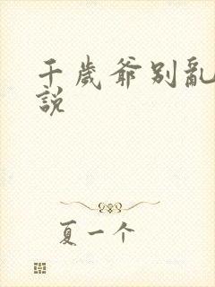 千岁爷别乱来小说