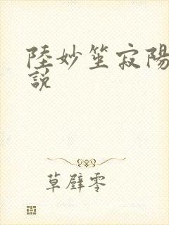 陆妙笙寂阳朔小说
